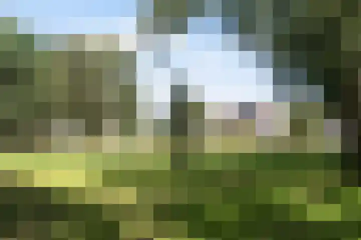 Cox 4 Asten thumbnail 43