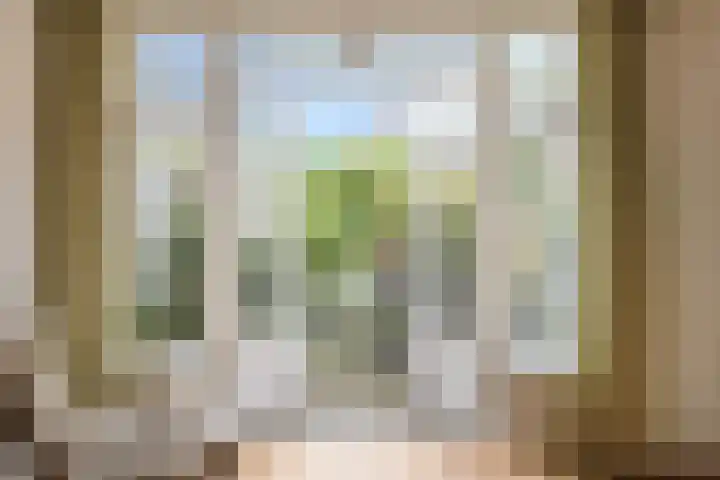 Cox 4 Asten thumbnail 9