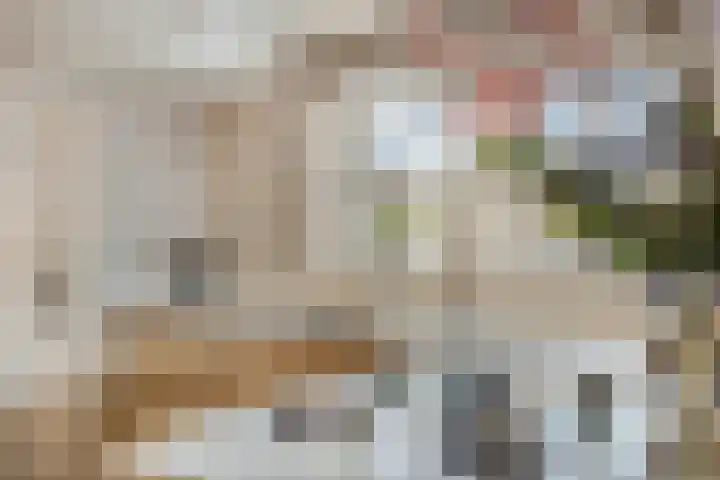 Coxsebaan 23 Erp thumbnail 11