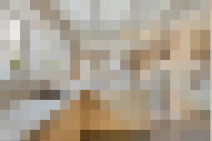Coxsebaan 23 Erp thumbnail 12