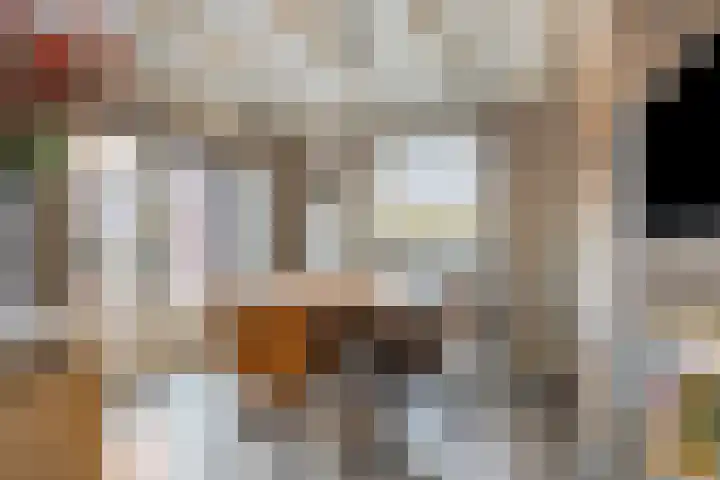 Coxsebaan 23 Erp thumbnail 14