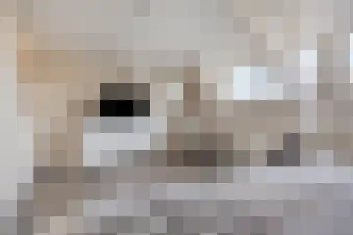 Coxsebaan 23 Erp thumbnail 21