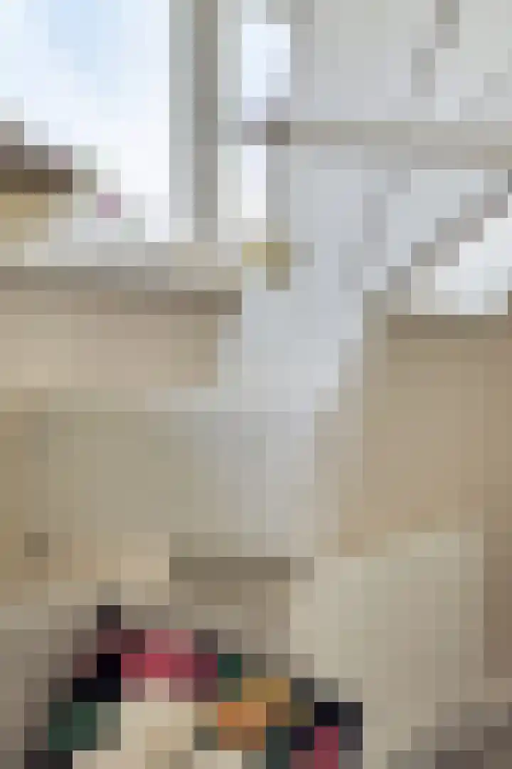 Coxsebaan 23 Erp thumbnail 22