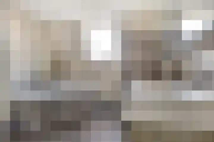 Coxsebaan 23 Erp thumbnail 25