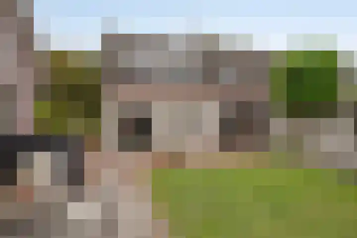 Coxsebaan 23 Erp thumbnail 33