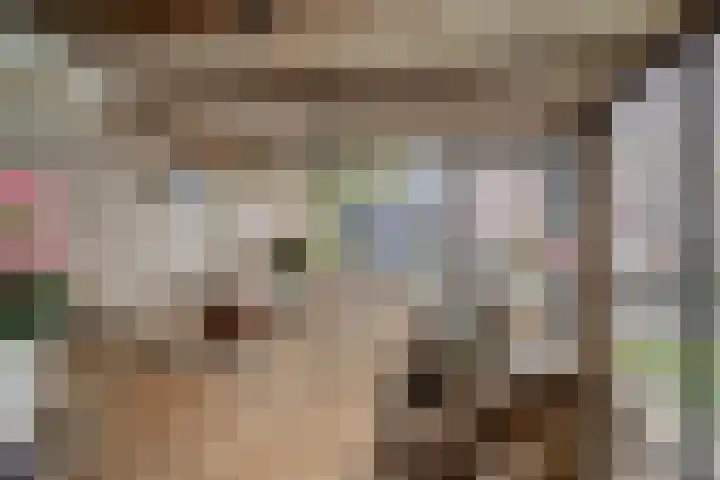 Coxsebaan 23 Erp thumbnail 34