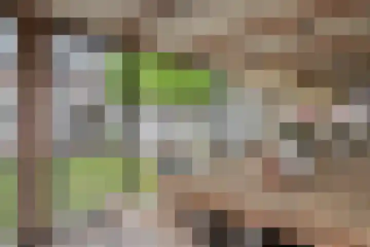 Coxsebaan 23 Erp thumbnail 35