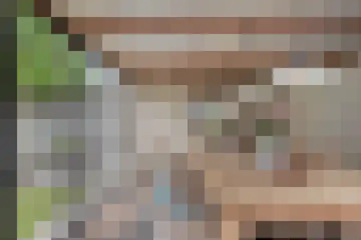 Coxsebaan 23 Erp thumbnail 36