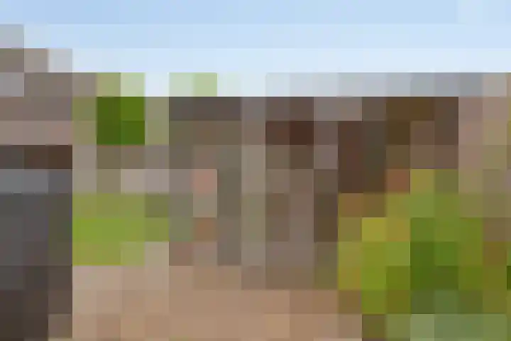 Coxsebaan 23 Erp thumbnail 37