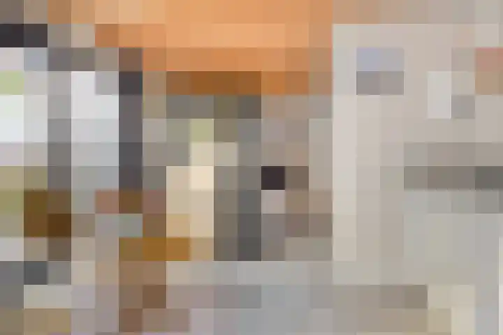 Coxsebaan 23 Erp thumbnail 39