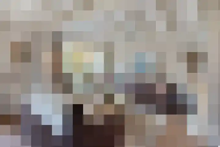 Coxsebaan 23 Erp thumbnail 4