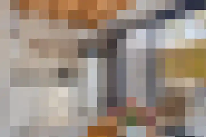 Coxsebaan 23 Erp thumbnail 41