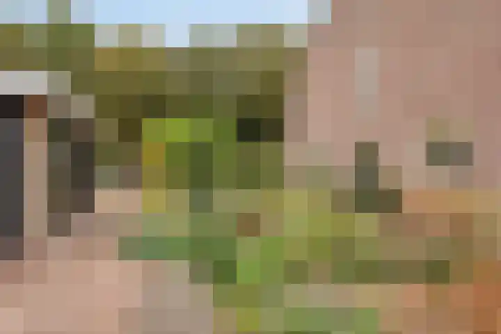 Coxsebaan 23 Erp thumbnail 46