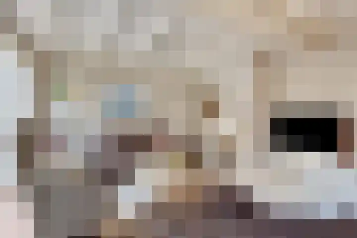 Coxsebaan 23 Erp thumbnail 5
