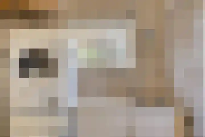 Coxsebaan 23 Erp thumbnail 53