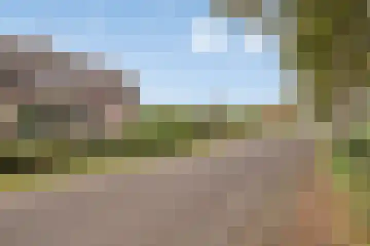 Coxsebaan 23 Erp thumbnail 55