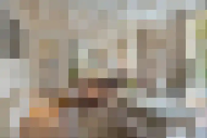 Coxsebaan 23 Erp thumbnail 6