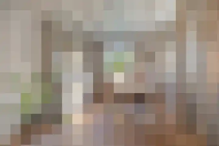 Coxsebaan 23 Erp thumbnail 7