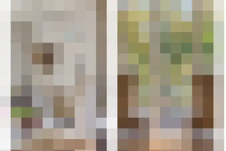 Coxsebaan 23 Erp thumbnail 9