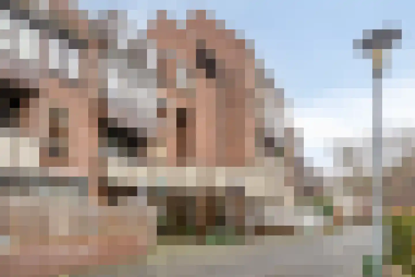 Coxstraat 109 Maastricht thumbnail 30