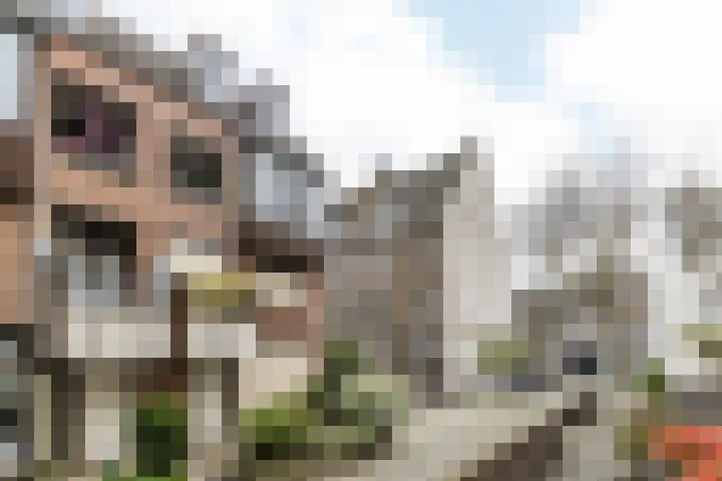 Coxstraat 141 Maastricht thumbnail 30