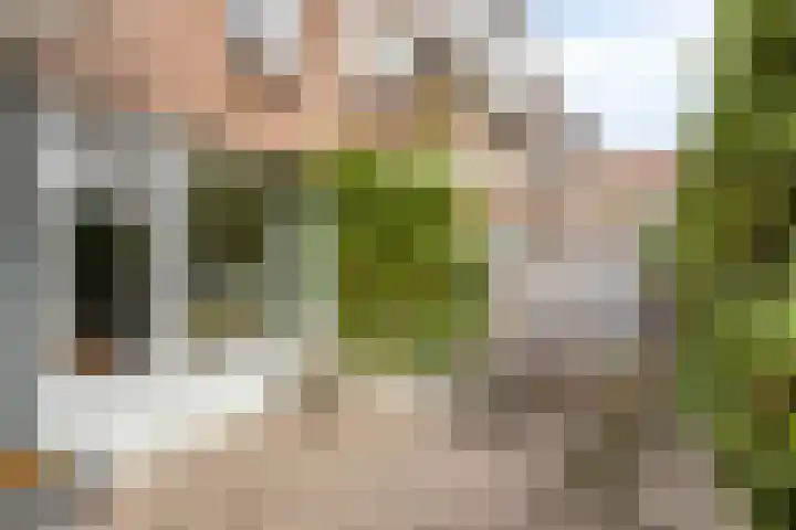 Coxstraat 18 Maastricht thumbnail 33