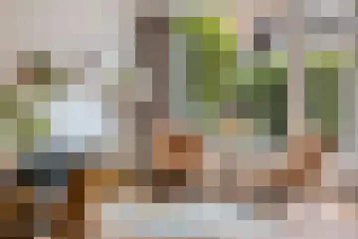 Coxstraat 18 Maastricht thumbnail 8