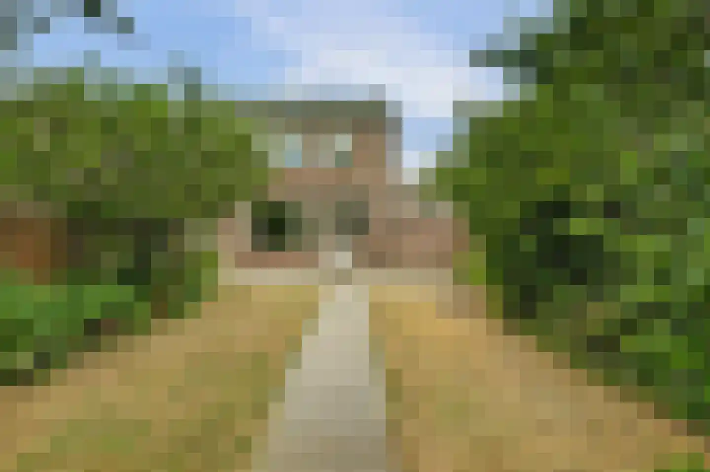 Coxstraat 19 Kapelle thumbnail 28