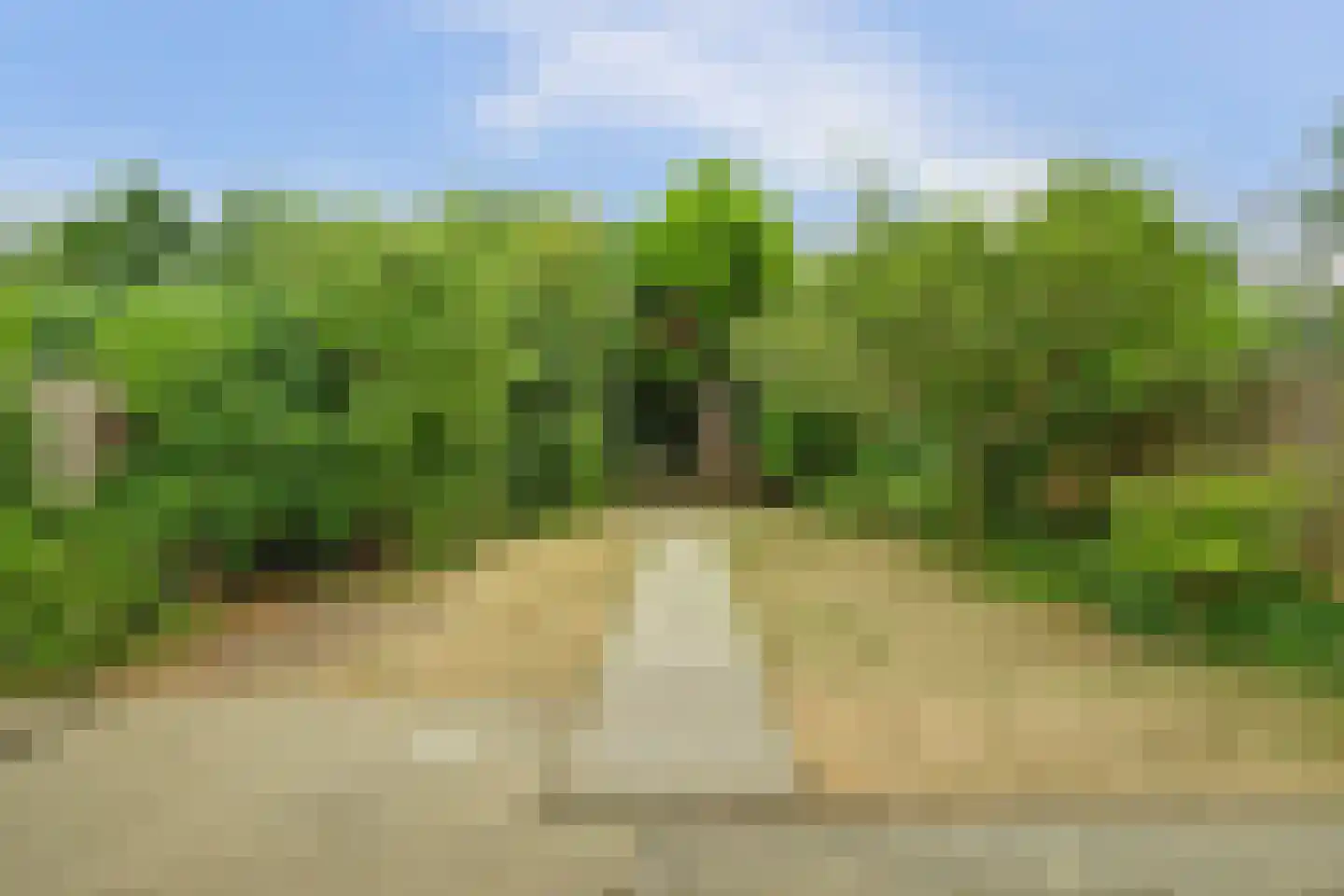 Coxstraat 19 Kapelle thumbnail 30