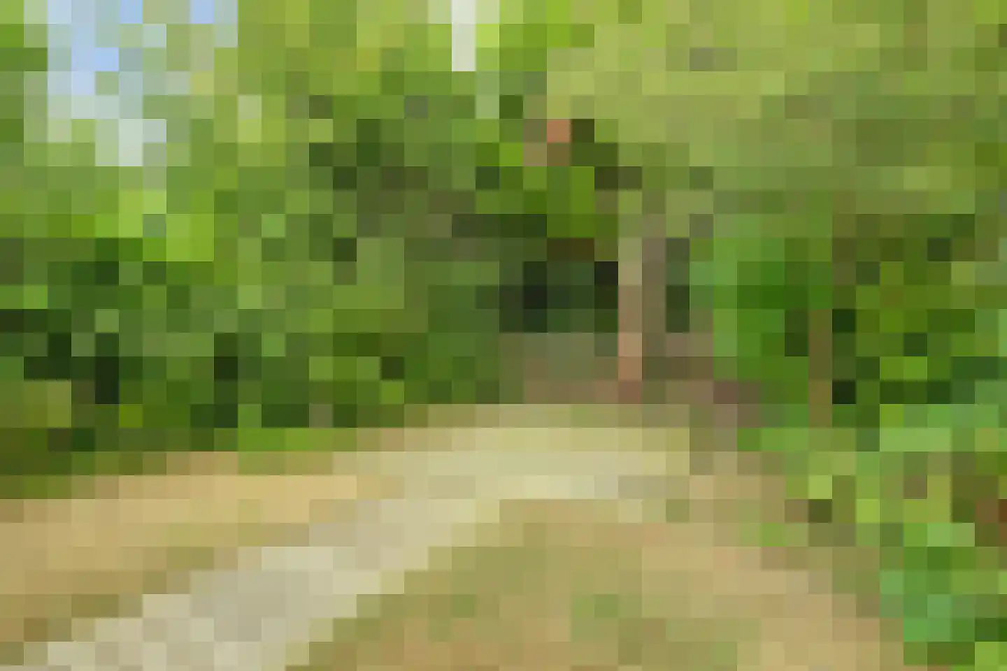Coxstraat 19 Kapelle thumbnail 31