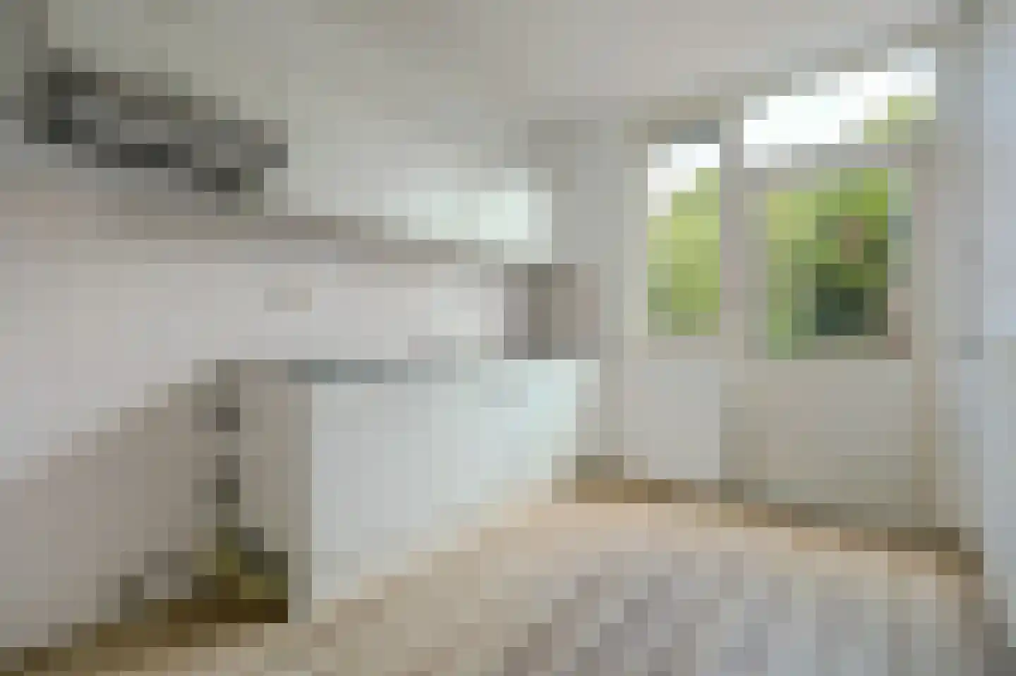 Coxstraat 19 Kapelle thumbnail 7