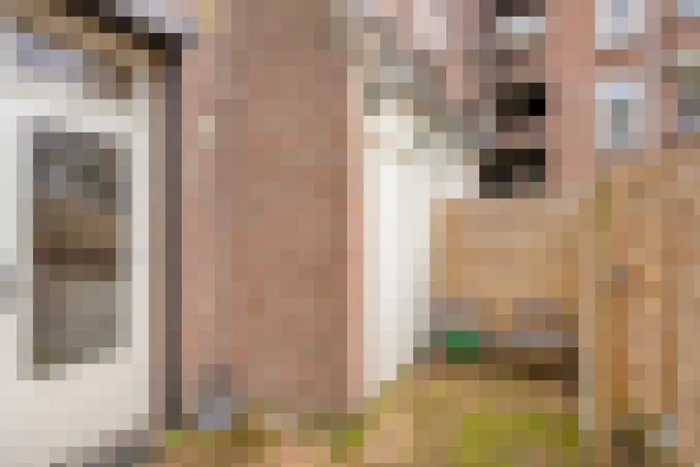 Coxstraat 20 Maastricht thumbnail 15