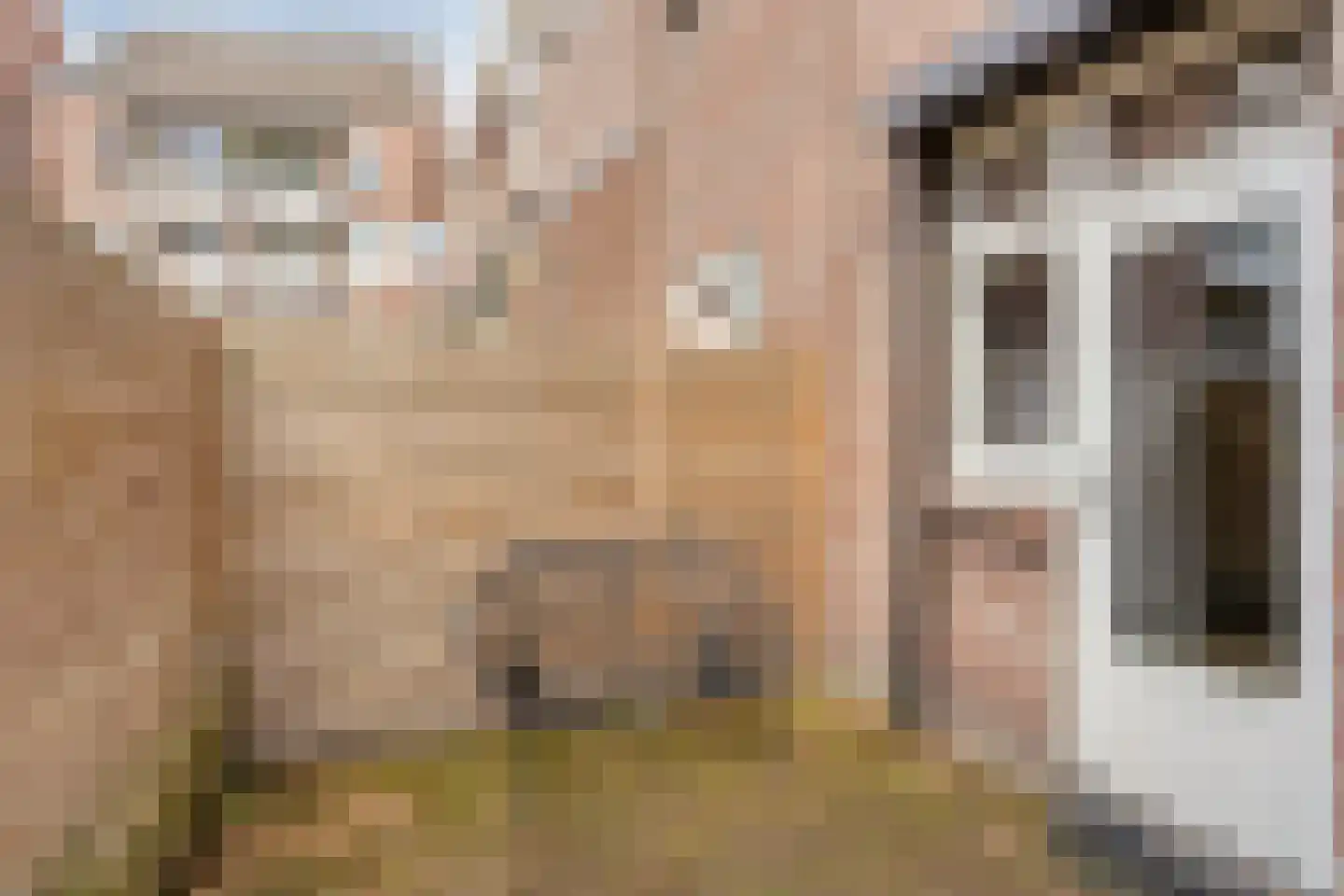 Coxstraat 20 Maastricht thumbnail 16