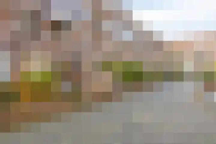 Coxstraat 20 Maastricht thumbnail 35