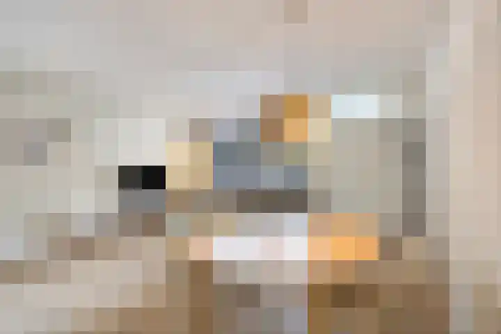 Coxstraat 20 Maastricht thumbnail 6