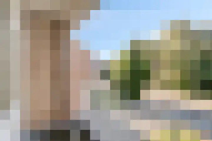 Coxstraat 58 Kapelle thumbnail 18