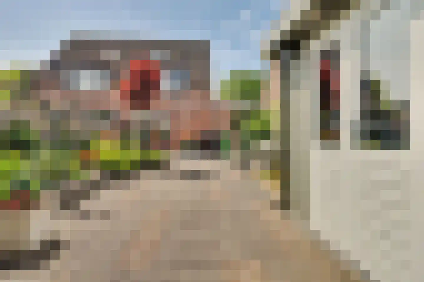 Coxstraat 86 Kapelle thumbnail 39