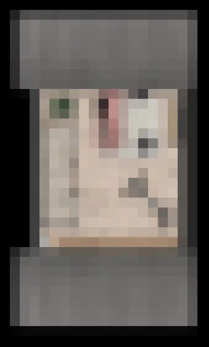 Cozijnsenhof 2 Nijkerk thumbnail 4