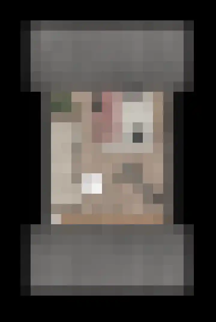 Cozijnsenhof 3 Nijkerk thumbnail 4