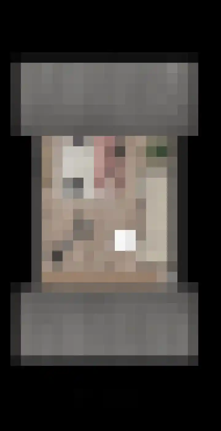 Cozijnsenhof 5 Nijkerk thumbnail 4