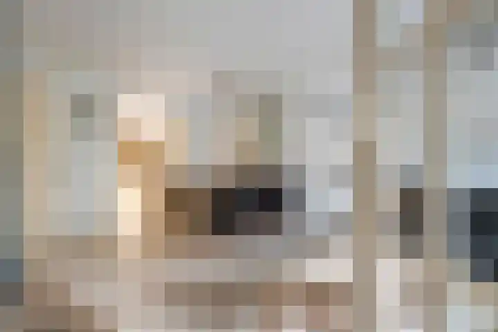 Craaienhof 51 Kesteren thumbnail 12