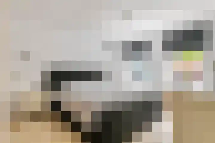 Craaienhof 51 Kesteren thumbnail 13