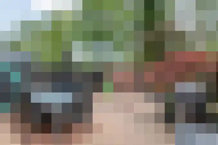 Craaienhof 51 Kesteren thumbnail 21
