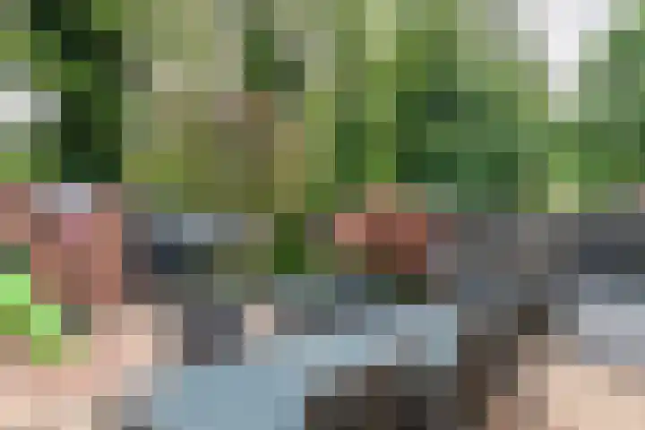 Craaienhof 51 Kesteren thumbnail 22