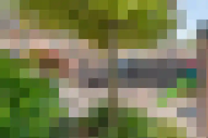Craaienhof 51 Kesteren thumbnail 24