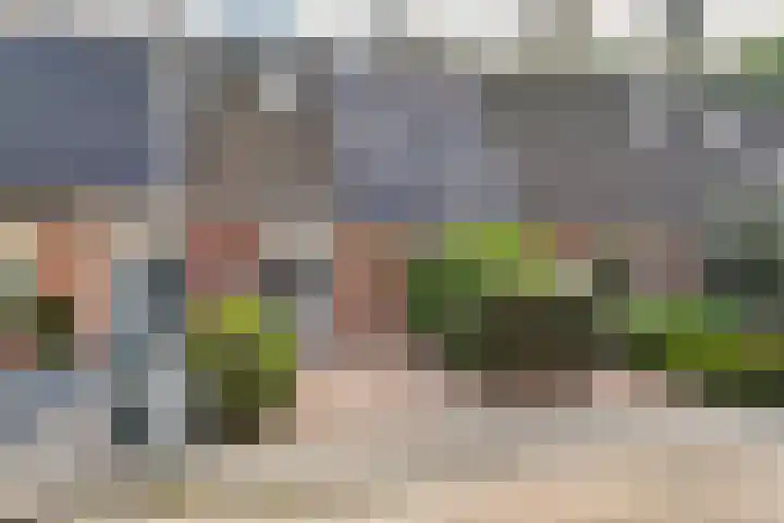Craaienhof 51 Kesteren thumbnail 33