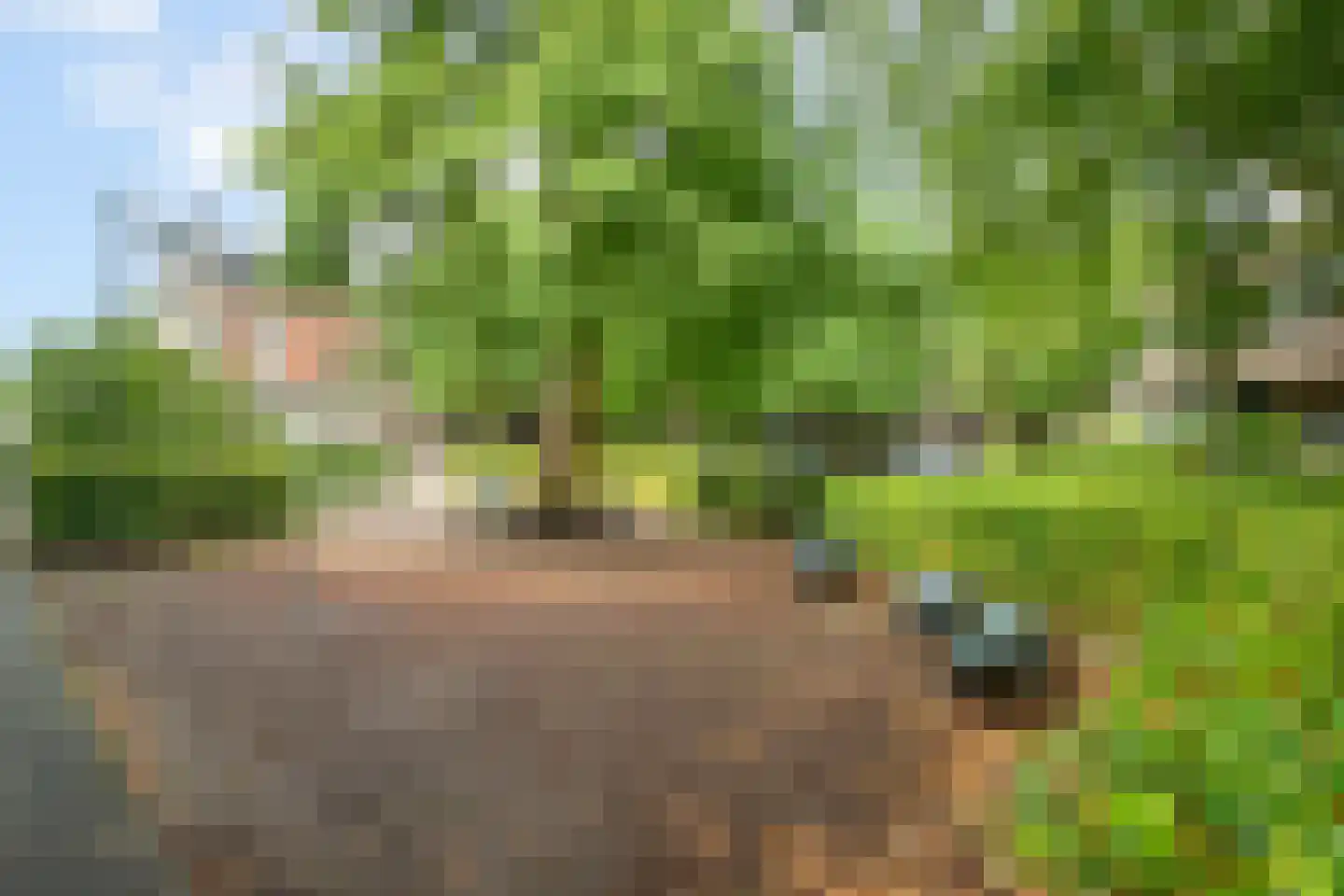 Crabethpark 7 Gouda thumbnail 39