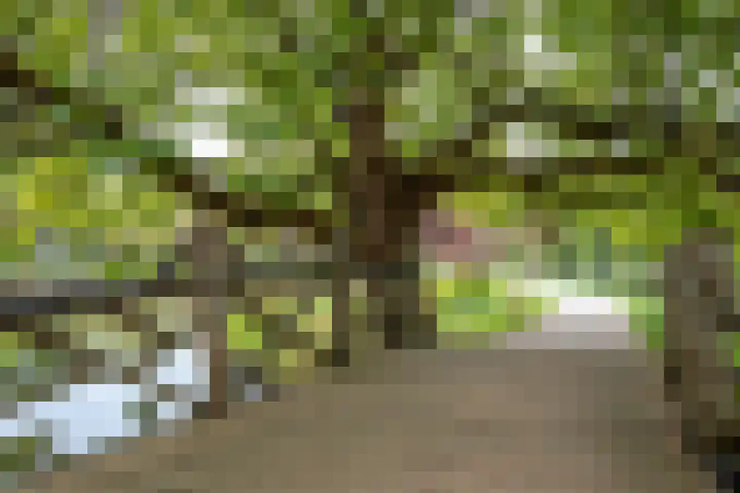 Crabethpark 7 Gouda thumbnail 43