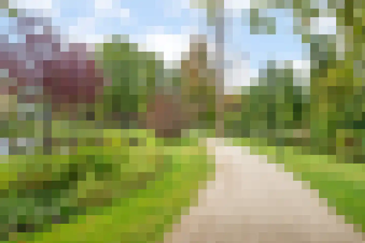 Crabethpark 7 Gouda thumbnail 44