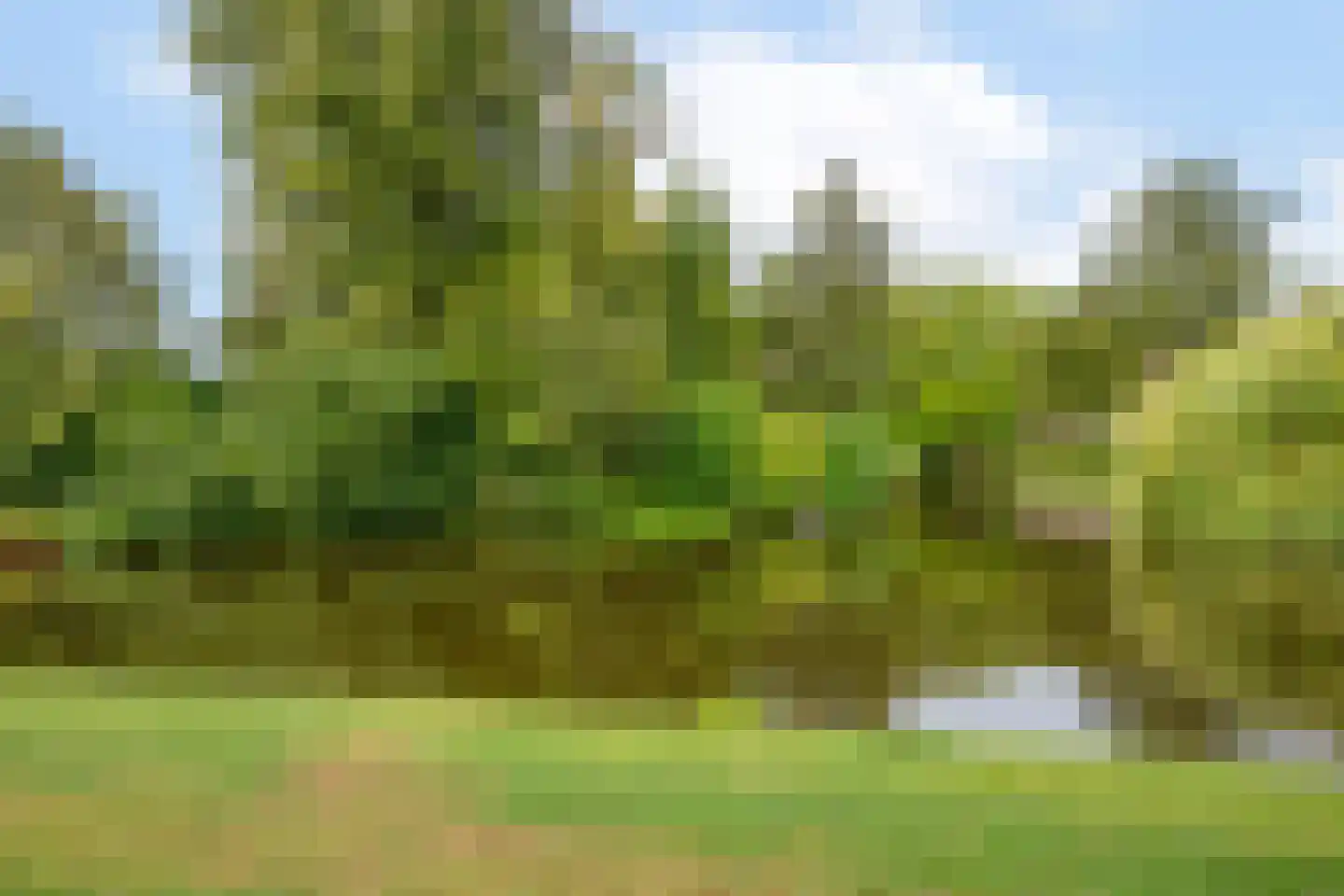 Crabethpark 7 Gouda thumbnail 45